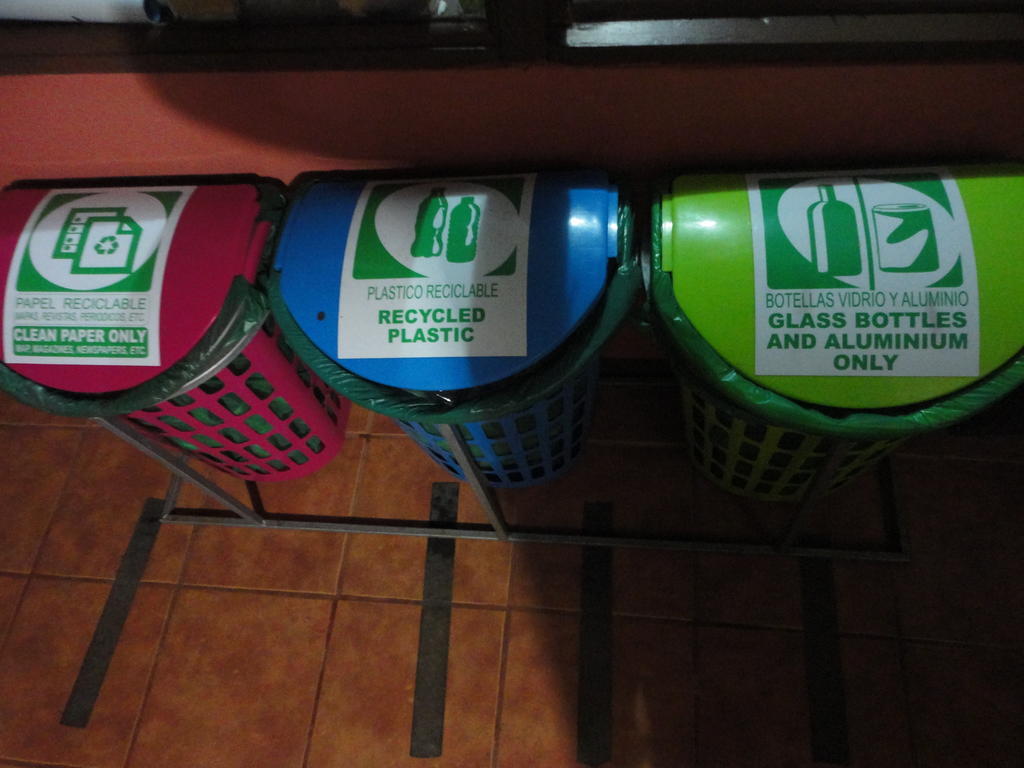 Cabinas Eddy B&B Monteverde Kültér fotó